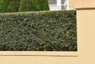 Neutral Bay Junctionprivacy-fencing-28.jpg; ?>
